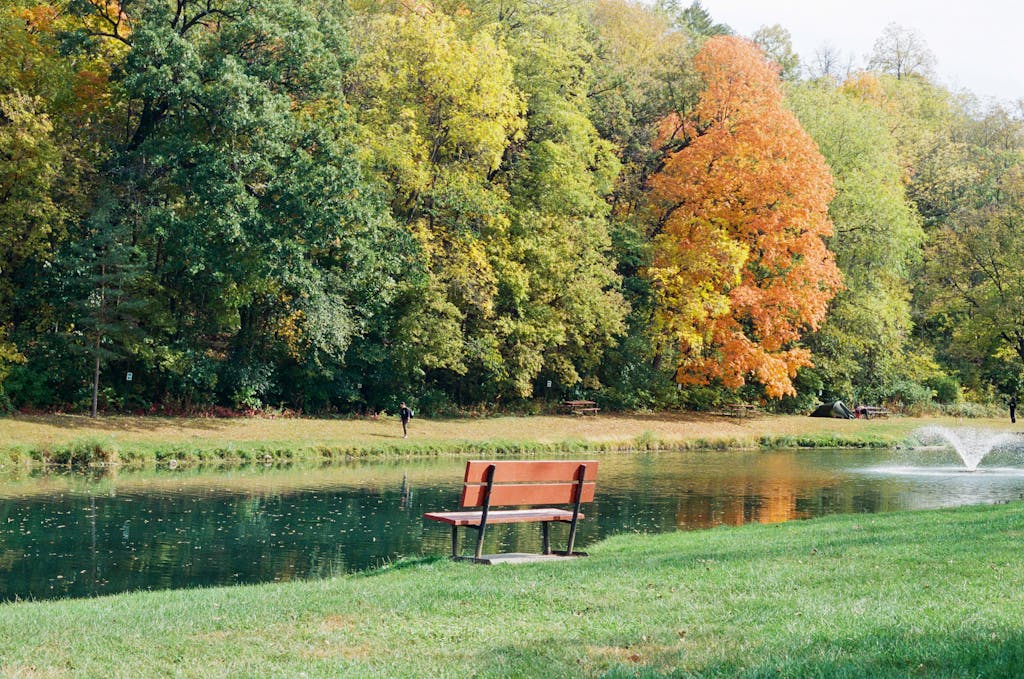 Eine Bank an einem friedlichen Fluss in einem herbstlichen Park